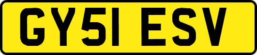 GY51ESV