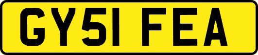 GY51FEA