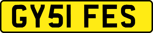 GY51FES