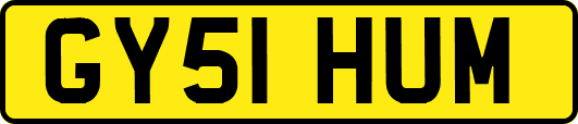 GY51HUM