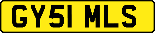 GY51MLS