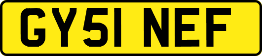GY51NEF