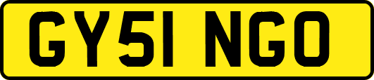GY51NGO