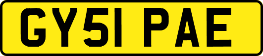 GY51PAE