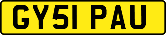 GY51PAU