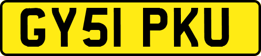 GY51PKU