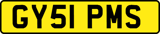 GY51PMS