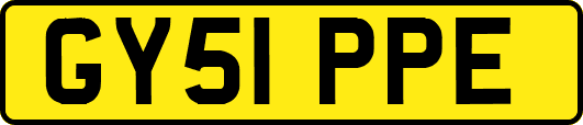 GY51PPE