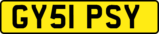 GY51PSY