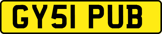 GY51PUB