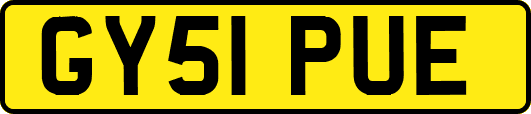 GY51PUE