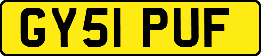 GY51PUF