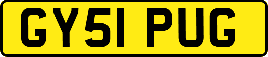 GY51PUG