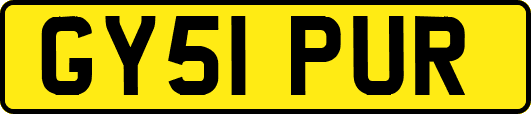 GY51PUR