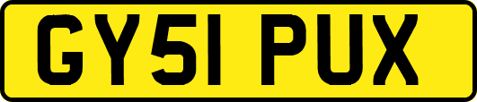 GY51PUX