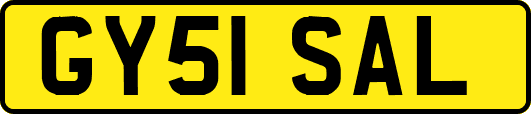 GY51SAL