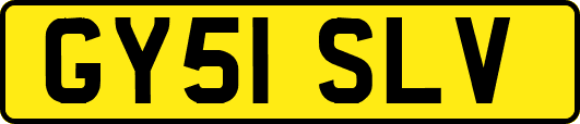 GY51SLV