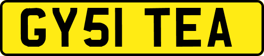 GY51TEA
