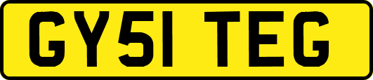 GY51TEG