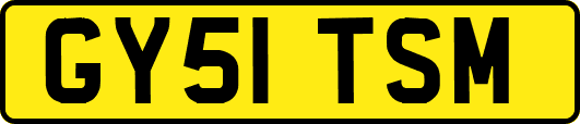 GY51TSM