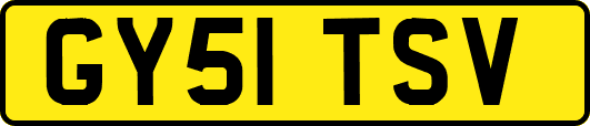 GY51TSV