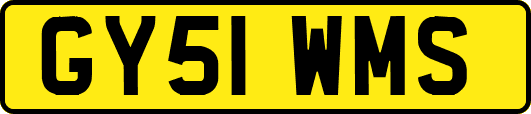 GY51WMS
