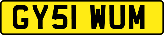 GY51WUM