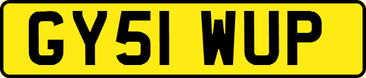 GY51WUP