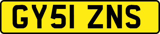 GY51ZNS