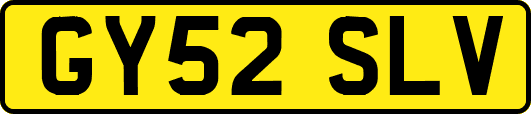 GY52SLV