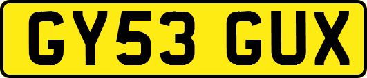 GY53GUX