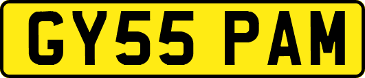 GY55PAM