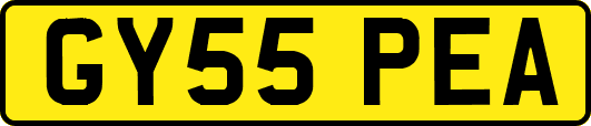 GY55PEA