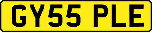 GY55PLE