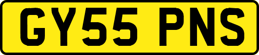 GY55PNS