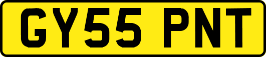 GY55PNT