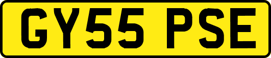 GY55PSE