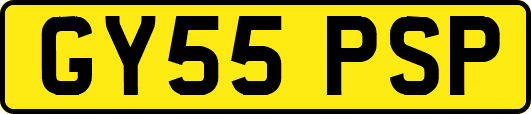 GY55PSP