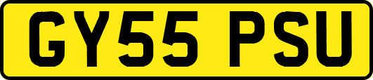 GY55PSU