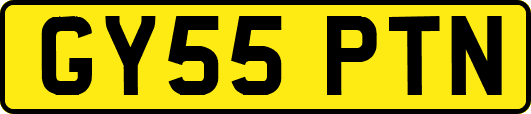 GY55PTN