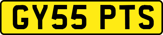 GY55PTS