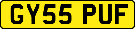 GY55PUF