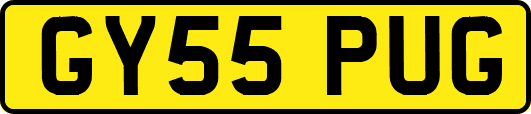 GY55PUG