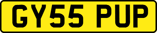 GY55PUP