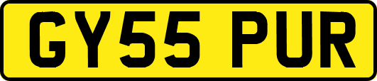 GY55PUR
