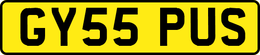 GY55PUS