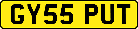 GY55PUT