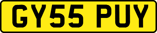 GY55PUY