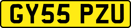 GY55PZU