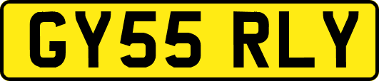 GY55RLY